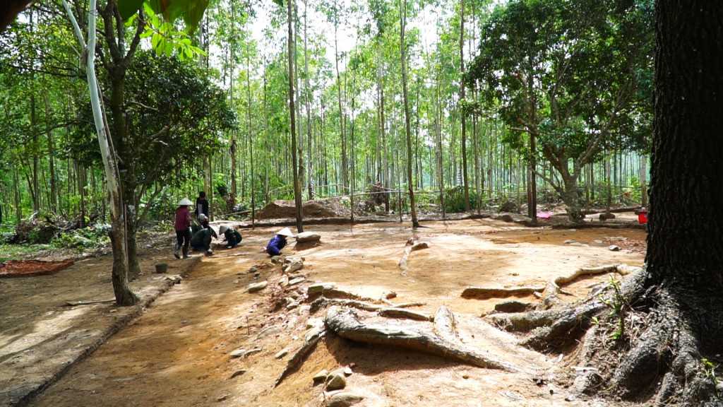 Hội khảo cổ học Việt Nam tiến hành khai quật di vật cổ 
