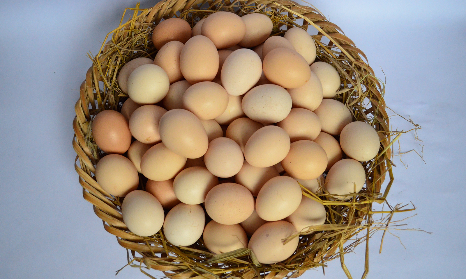 Trứng rất được ưa chuộng trong đời sống hàng ngày