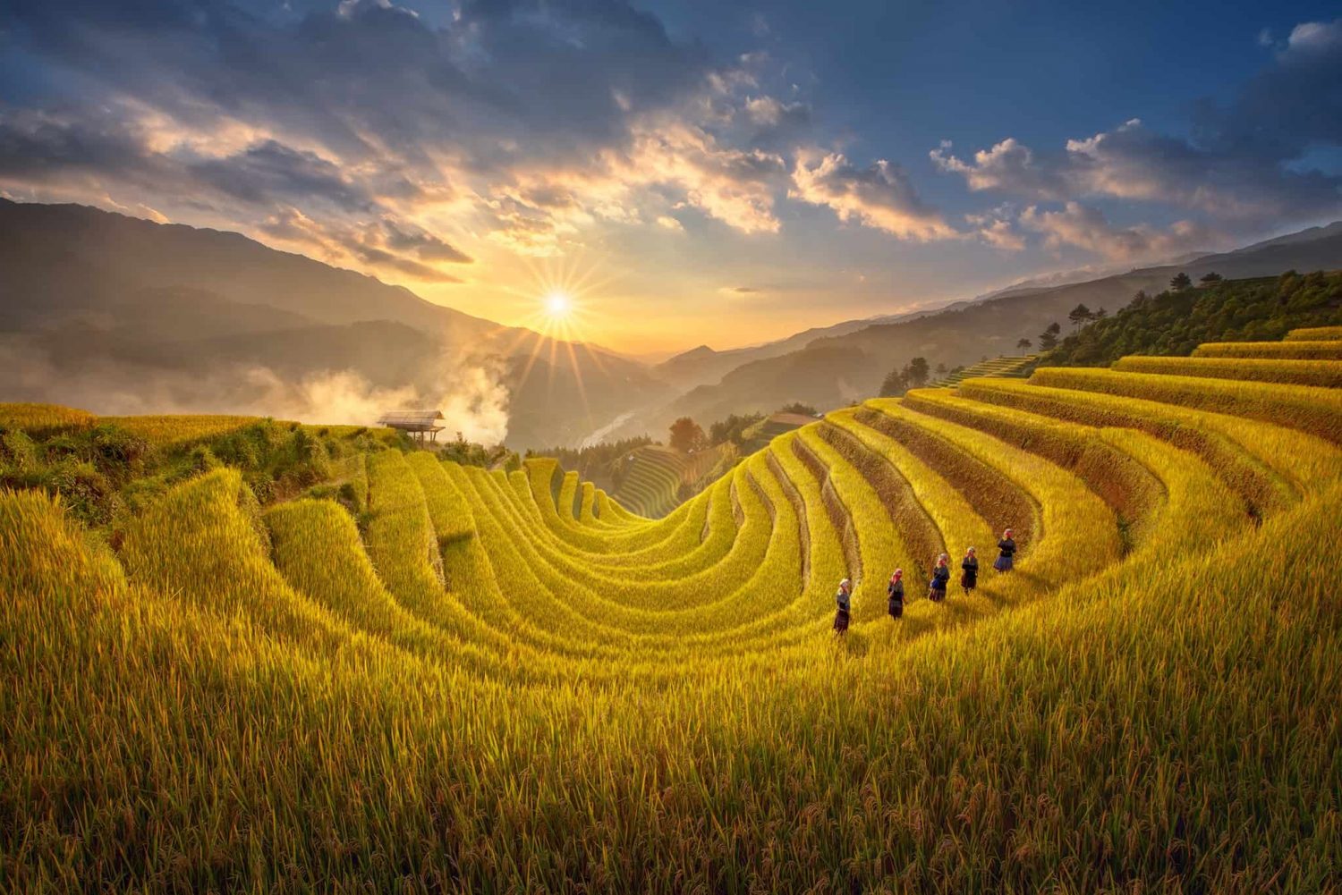 Những thửa ruộng bậc thang mùa lúa chín – điểm đến thu hút du khách tại Hà Giang